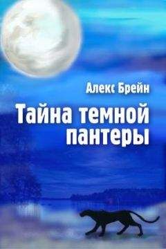 Читайте книги онлайн на Bookidrom.ru! Бесплатные книги в одном клике Алекс Брейн - Тайна темной пантеры