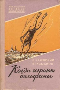 Читайте книги онлайн на Bookidrom.ru! Бесплатные книги в одном клике Борис Краевский - Когда играют дельфины…
