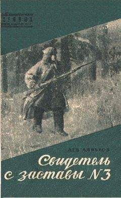 Читайте книги онлайн на Bookidrom.ru! Бесплатные книги в одном клике Лев Линьков - Свидетель с заставы № 3