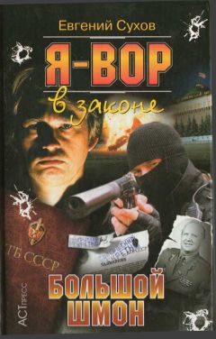 Читайте книги онлайн на Bookidrom.ru! Бесплатные книги в одном клике Олег Алякринский - Большой шмон