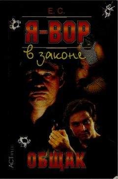 Читайте книги онлайн на Bookidrom.ru! Бесплатные книги в одном клике Олег Алякринский - Я — вор в законе: Общак