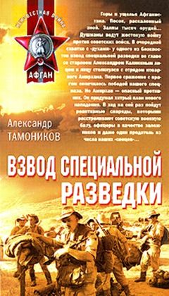 Александр Тамоников - Взвод специальной разведки