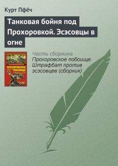 Читайте книги онлайн на Bookidrom.ru! Бесплатные книги в одном клике Курт Пфёч - Танковая бойня под Прохоровкой. Эсэсовцы в огне