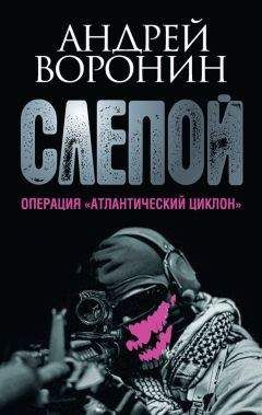 Читайте книги онлайн на Bookidrom.ru! Бесплатные книги в одном клике Андрей Воронин - Слепой. Операция «Атлантический циклон»