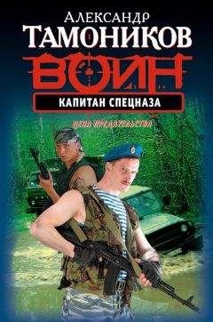 Читайте книги онлайн на Bookidrom.ru! Бесплатные книги в одном клике Александр Тамоников - Капитан спецназа
