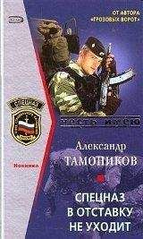 Александр Тамоников - Спецназ в отставку не уходит