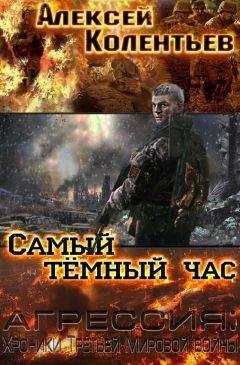 Читайте книги онлайн на Bookidrom.ru! Бесплатные книги в одном клике Алексей Колентьев - Агрессия: хроники Третьей Мировой войны