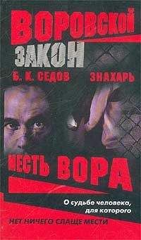 Читайте книги онлайн на Bookidrom.ru! Бесплатные книги в одном клике Борис Седов - Месть вора