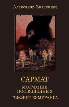 Читайте книги онлайн на Bookidrom.ru! Бесплатные книги в одном клике Александр Звягинцев - Молчание посвященных. Эффект бумеранга (сборник)