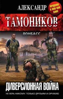 Читайте книги онлайн на Bookidrom.ru! Бесплатные книги в одном клике Александр Тамоников - Диверсионная война