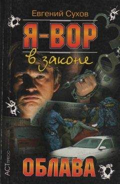 Читайте книги онлайн на Bookidrom.ru! Бесплатные книги в одном клике Олег Алякринский - Облава