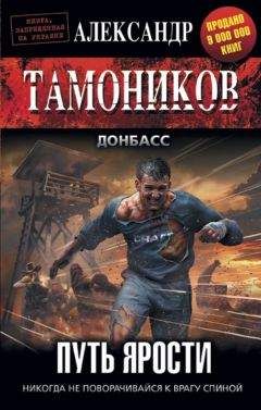 Читайте книги онлайн на Bookidrom.ru! Бесплатные книги в одном клике Александр Тамоников - Путь ярости