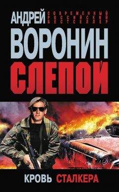 Читайте книги онлайн на Bookidrom.ru! Бесплатные книги в одном клике Андрей Воронин - Слепой. Кровь сталкера