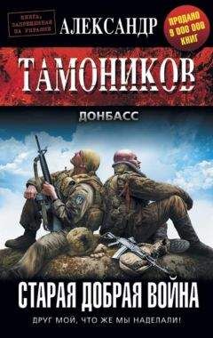 Читайте книги онлайн на Bookidrom.ru! Бесплатные книги в одном клике Александр Тамоников - Старая добрая война