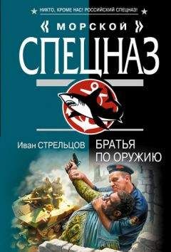 Читайте книги онлайн на Bookidrom.ru! Бесплатные книги в одном клике Иван Стрельцов - Братья по оружию