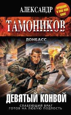 Читайте книги онлайн на Bookidrom.ru! Бесплатные книги в одном клике Александр Тамоников - Девятый конвой