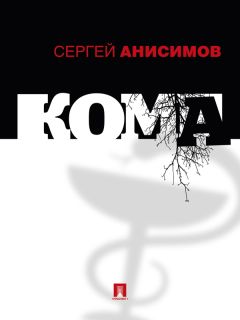 Читайте книги онлайн на Bookidrom.ru! Бесплатные книги в одном клике Сергей Анисимов - Кома