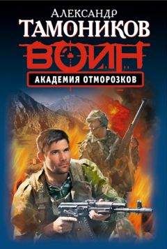 Читайте книги онлайн на Bookidrom.ru! Бесплатные книги в одном клике Александр Тамоников - Академия отморозков