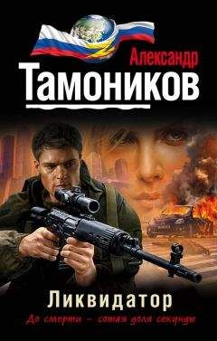 Читайте книги онлайн на Bookidrom.ru! Бесплатные книги в одном клике Александр Тамоников - Ликвидатор