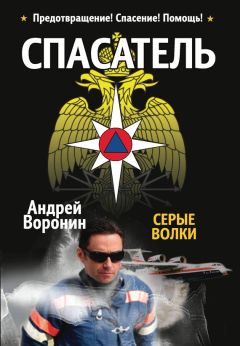 Читайте книги онлайн на Bookidrom.ru! Бесплатные книги в одном клике Андрей Воронин - Спасатель. Серые волки
