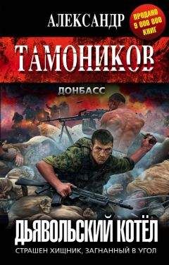 Читайте книги онлайн на Bookidrom.ru! Бесплатные книги в одном клике Александр Тамоников - Дьявольский котёл