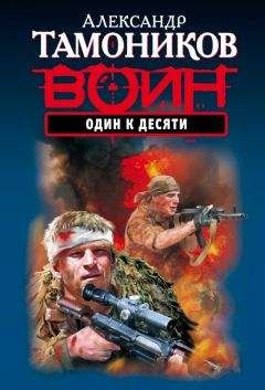 Читайте книги онлайн на Bookidrom.ru! Бесплатные книги в одном клике Александр Тамоников - Один к десяти