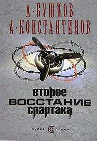 Читайте книги онлайн на Bookidrom.ru! Бесплатные книги в одном клике Александр Бушков - Второе восстание Спартака