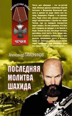 Читайте книги онлайн на Bookidrom.ru! Бесплатные книги в одном клике Александр Тамоников - Последняя молитва шахида