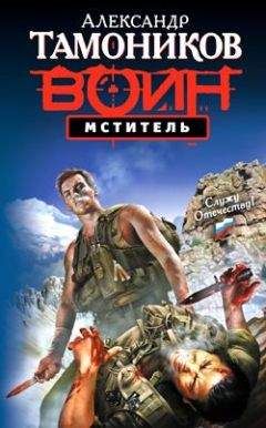 Читайте книги онлайн на Bookidrom.ru! Бесплатные книги в одном клике Александр Тамоников - Мститель