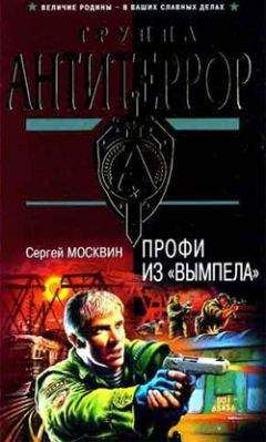 Читайте книги онлайн на Bookidrom.ru! Бесплатные книги в одном клике Сергей Москвин - Профи из «Вымпела»
