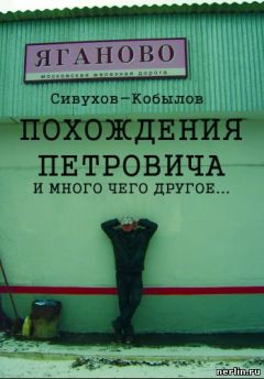 Читайте книги онлайн на Bookidrom.ru! Бесплатные книги в одном клике Игорь Гамазин - Похождения Петровича и много чего другое…