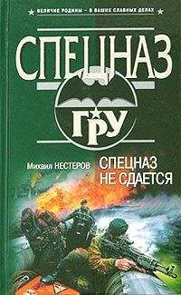 Читайте книги онлайн на Bookidrom.ru! Бесплатные книги в одном клике Михаил Нестеров - Спецназ не сдается