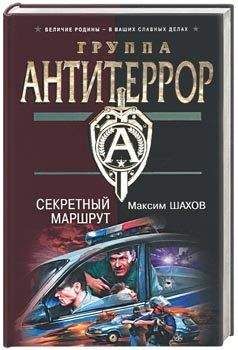 Читайте книги онлайн на Bookidrom.ru! Бесплатные книги в одном клике Максим Шахов - Секретный маршрут