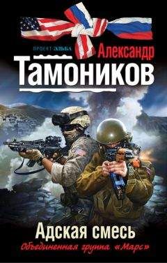 Читайте книги онлайн на Bookidrom.ru! Бесплатные книги в одном клике Александр Тамоников - Адская смесь