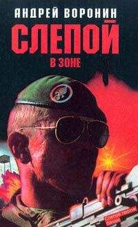 Читайте книги онлайн на Bookidrom.ru! Бесплатные книги в одном клике Андрей Воронин - Слепой в зоне