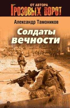 Читайте книги онлайн на Bookidrom.ru! Бесплатные книги в одном клике Александр Тамоников - Солдаты вечности