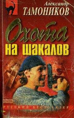 Читайте книги онлайн на Bookidrom.ru! Бесплатные книги в одном клике Александр Тамоников - Охота на шакалов