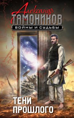 Читайте книги онлайн на Bookidrom.ru! Бесплатные книги в одном клике Александр Тамоников - Тени прошлого