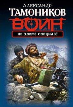 Читайте книги онлайн на Bookidrom.ru! Бесплатные книги в одном клике Александр Тамоников - Не злите спецназ!