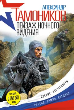 Читайте книги онлайн на Bookidrom.ru! Бесплатные книги в одном клике Александр Тамоников - Пейзаж ночного видения