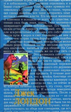 Читайте книги онлайн на Bookidrom.ru! Бесплатные книги в одном клике Джек Лондон - Любовь к жизни