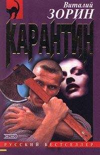 Читайте книги онлайн на Bookidrom.ru! Бесплатные книги в одном клике Виталий Зорин - Карантин