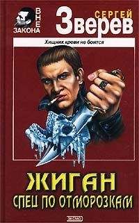 Читайте книги онлайн на Bookidrom.ru! Бесплатные книги в одном клике Сергей Зверев - Спец по отморозкам