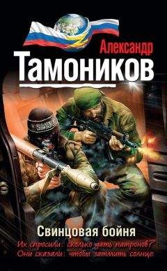 Читайте книги онлайн на Bookidrom.ru! Бесплатные книги в одном клике Александр Тамоников - Свинцовая бойня