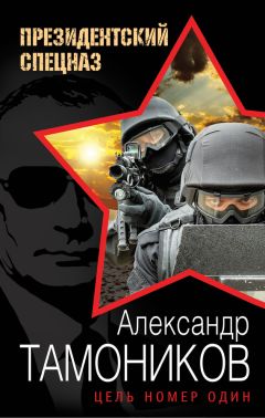 Читайте книги онлайн на Bookidrom.ru! Бесплатные книги в одном клике Александр Тамоников - Цель номер один