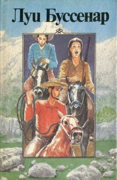 Читайте книги онлайн на Bookidrom.ru! Бесплатные книги в одном клике Луи Буссенар - Канадские охотники