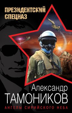 Читайте книги онлайн на Bookidrom.ru! Бесплатные книги в одном клике Александр Тамоников - Ангелы сирийского неба