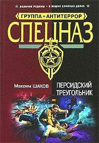 Читайте книги онлайн на Bookidrom.ru! Бесплатные книги в одном клике Максим Шахов - Персидский треугольник