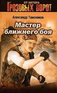Читайте книги онлайн на Bookidrom.ru! Бесплатные книги в одном клике Александр Тамоников - Мастер ближнего боя