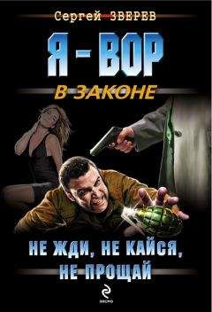 Читайте книги онлайн на Bookidrom.ru! Бесплатные книги в одном клике Сергей Зверев - Не жди, не кайся, не прощай